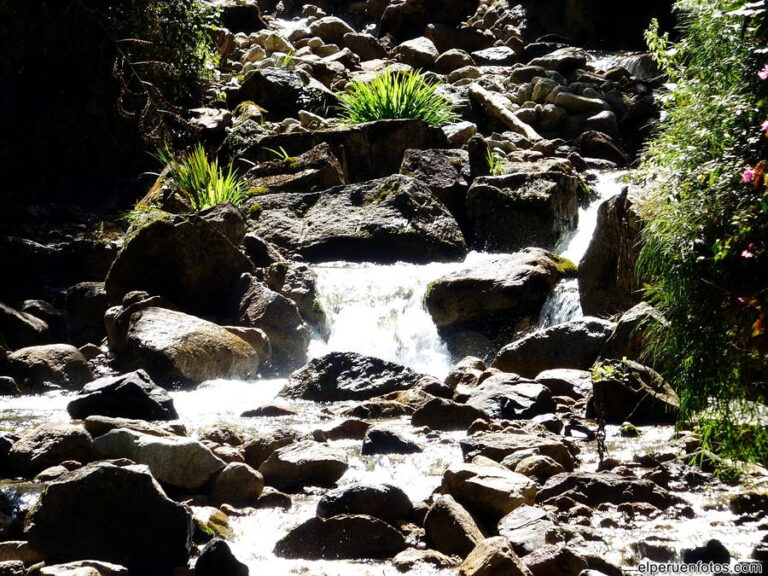 aguas calientes 003